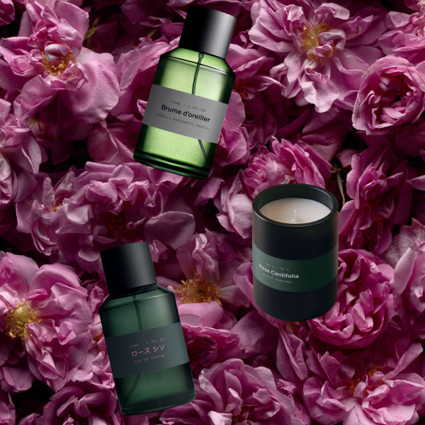Exploring Rose: From Skin to Home with MarieJeanne