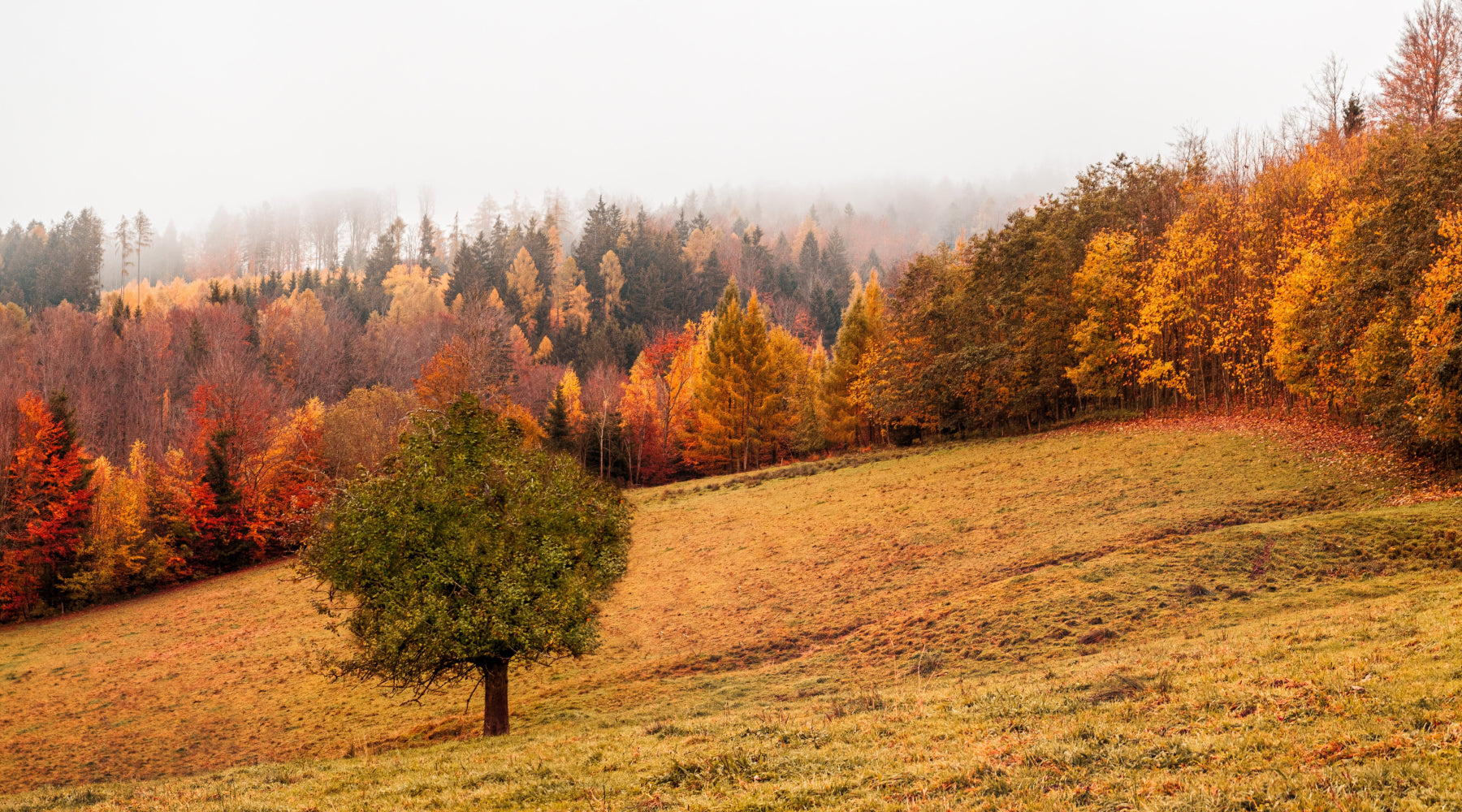 How To Choose Perfumes For Each Season