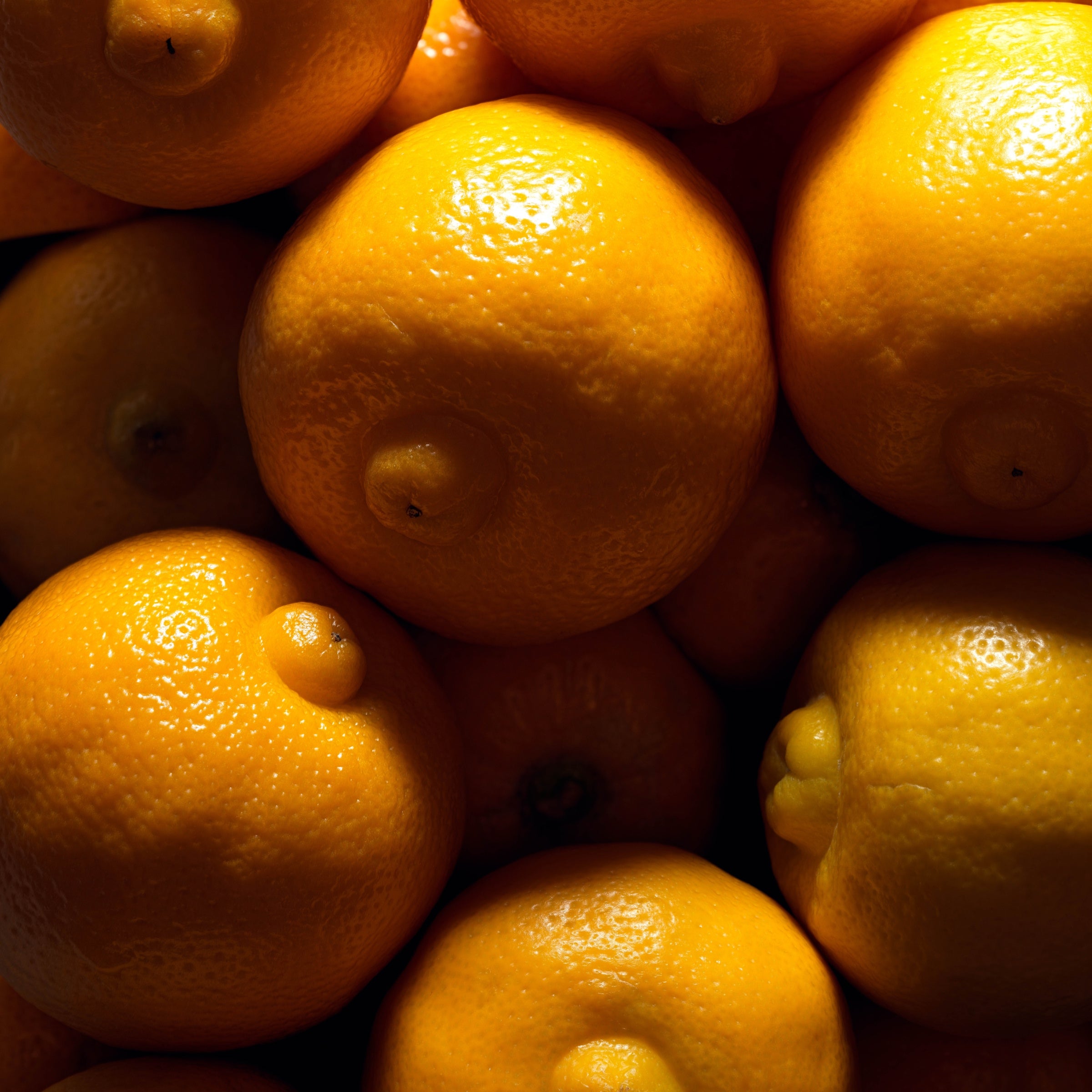 MarieJeanne Elisa Eau De Parfum 100ml