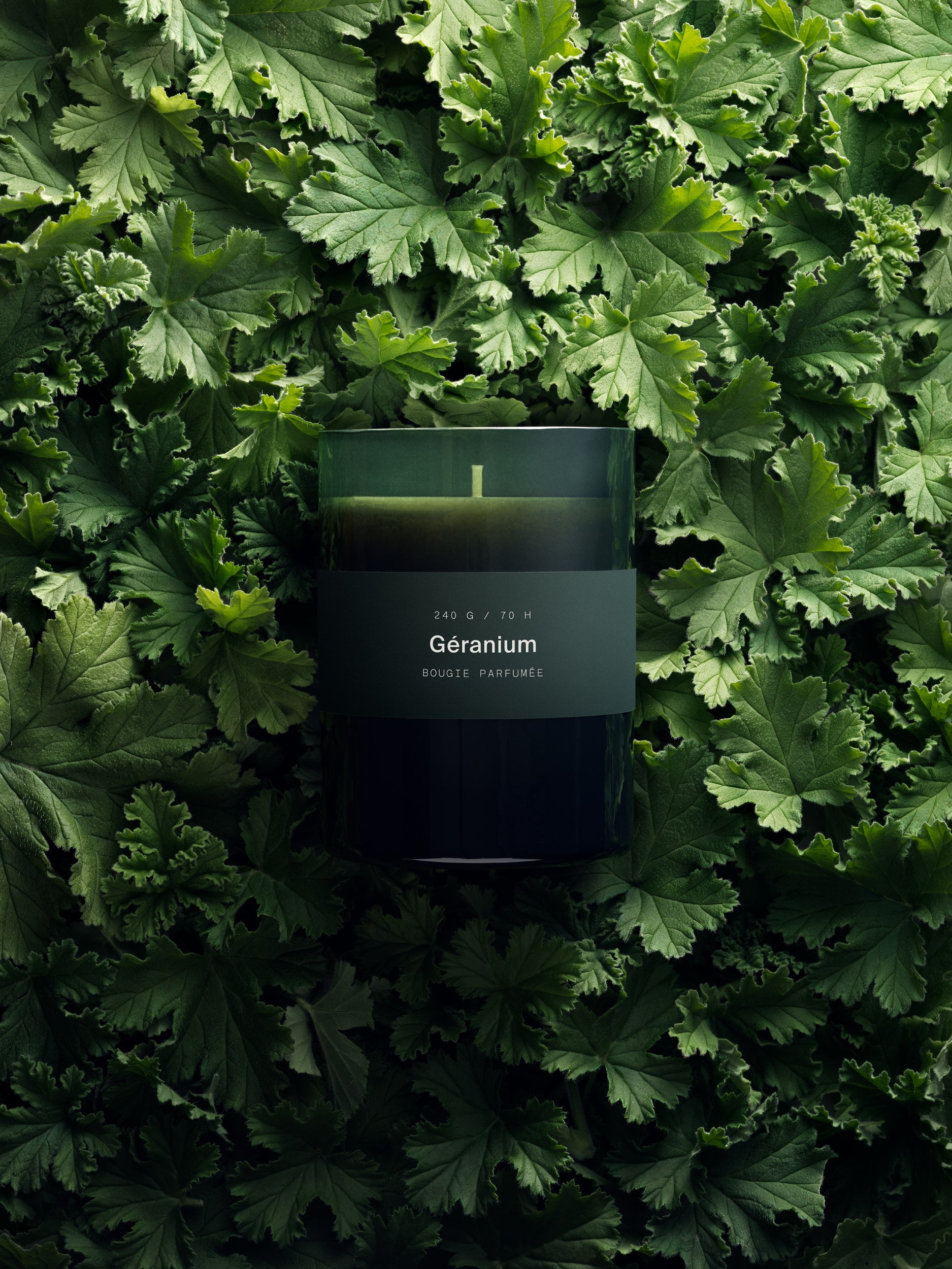 MarieJeanne Géranium Scented Candle