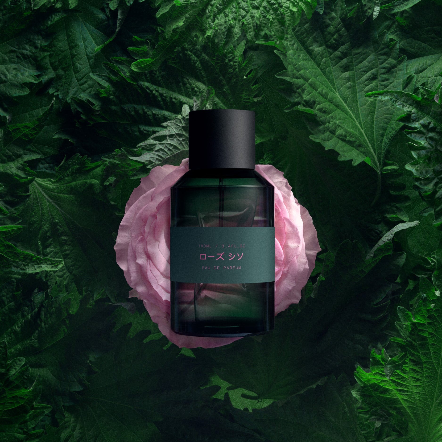 MarieJeanne Rose Shiso Eau De Parfum 100ml – Lusso Collective