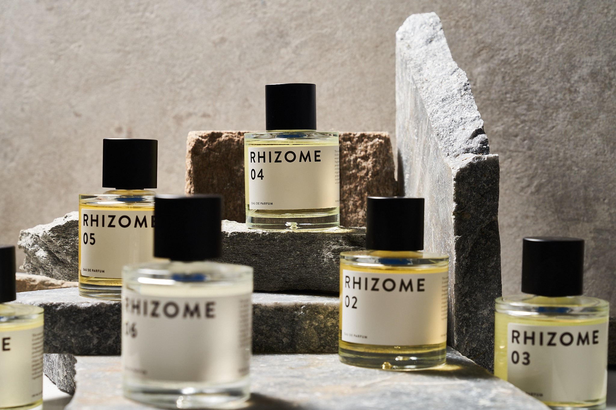 Rhizome Collection 