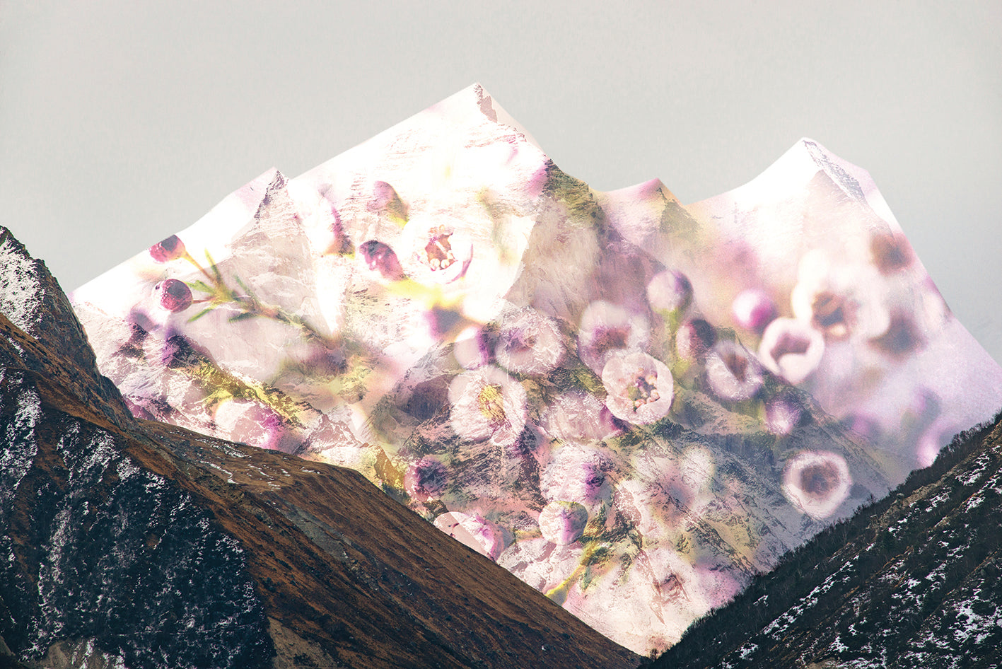 ROADS Flower Mountain — CORE Collection Eau De Parfum 50ml