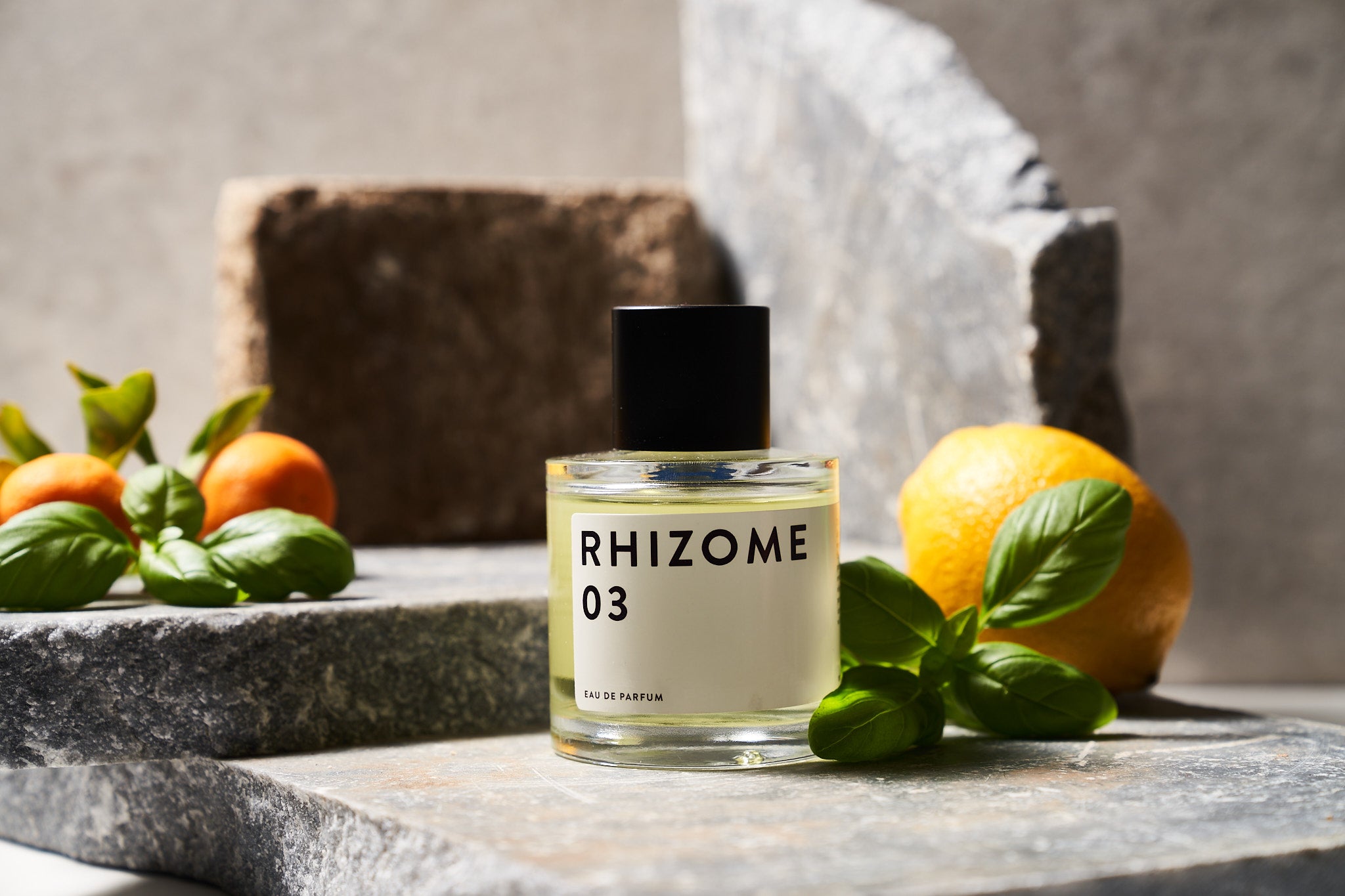 Woody Fragrance Rhizome 03 Eau De Parfum, 100ml